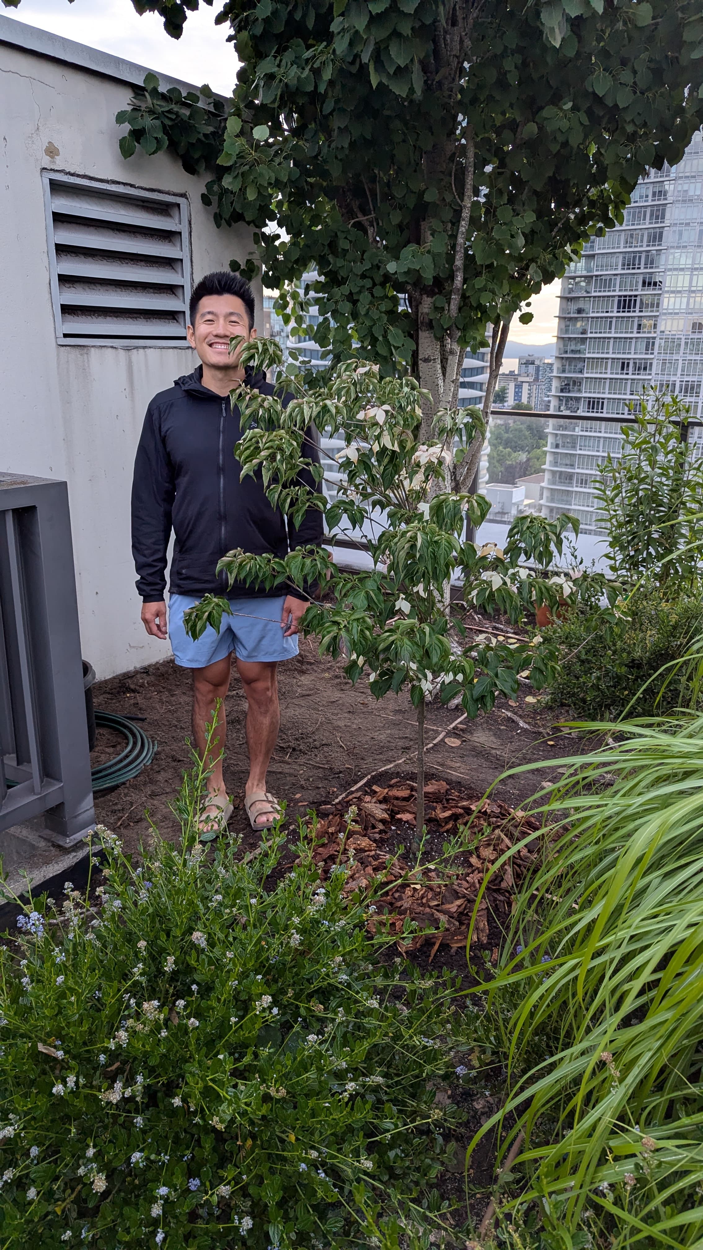 First time planting a tree and it turns out much more requirement and…