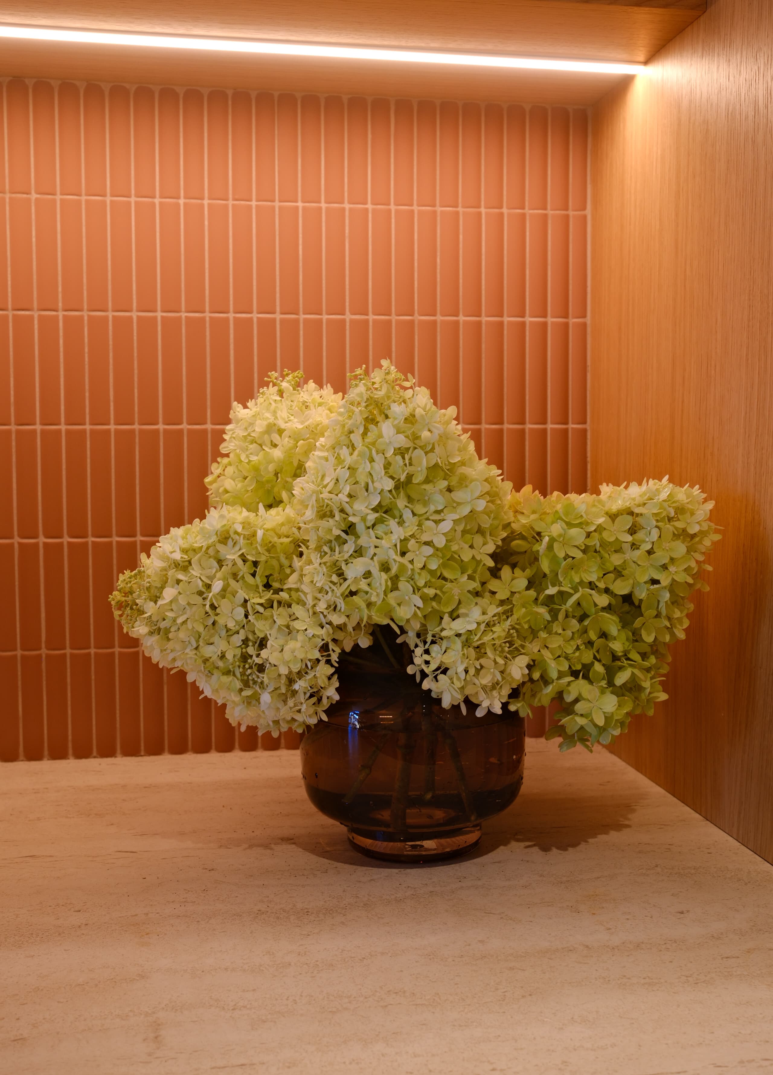 Little Lime Hydrangea (tree form)